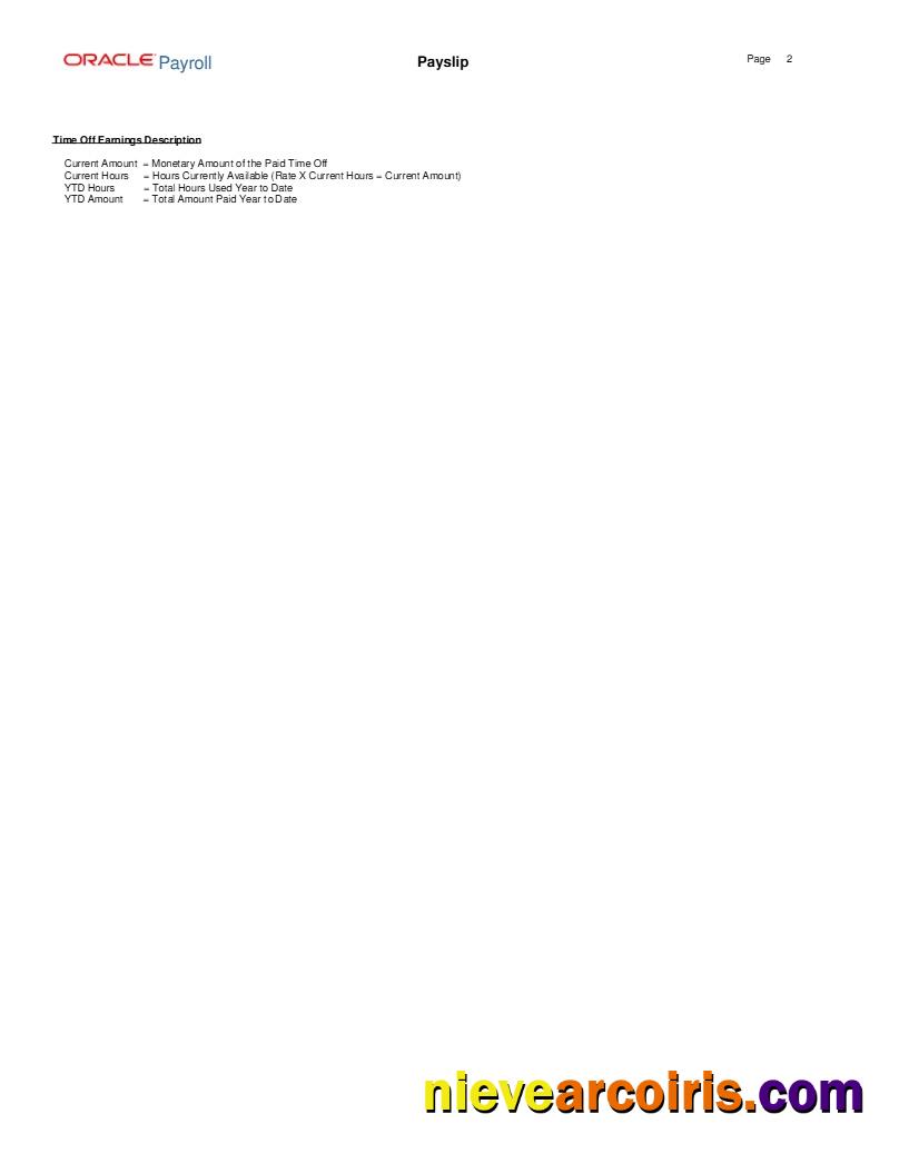 Oracle Payroll Advantage Sales & Marketing LLC payslip 2